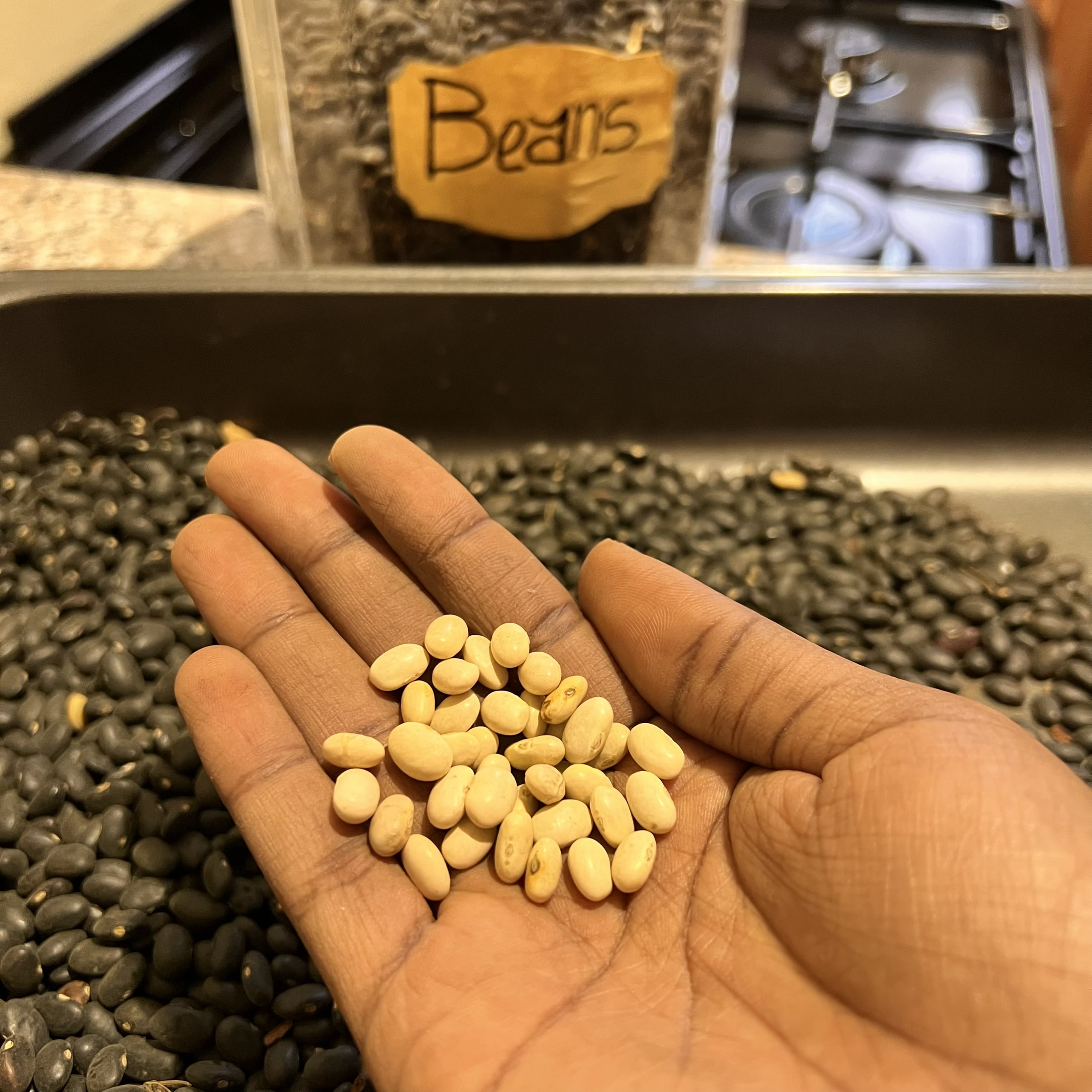 Navy Beans