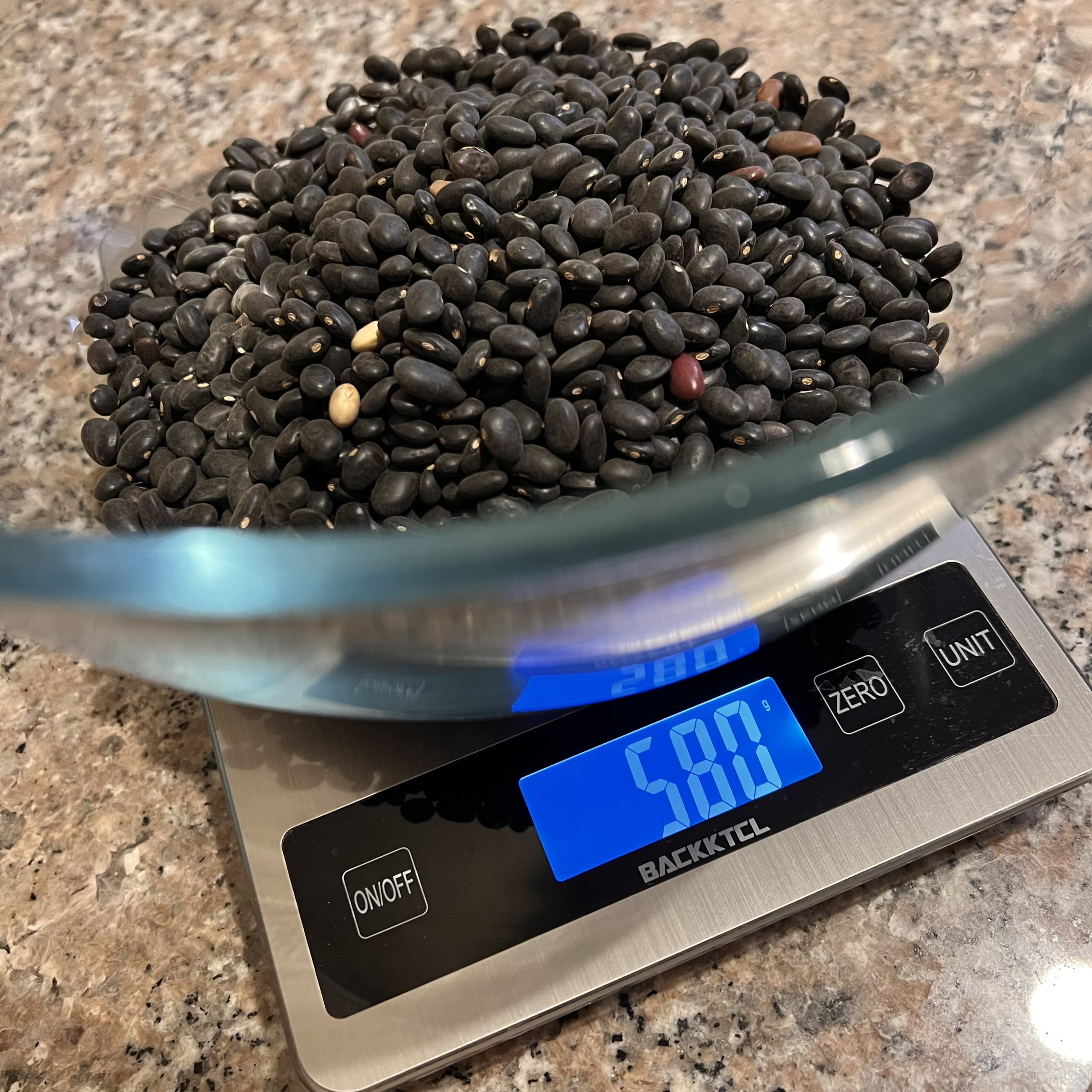 Black Turtle Beans