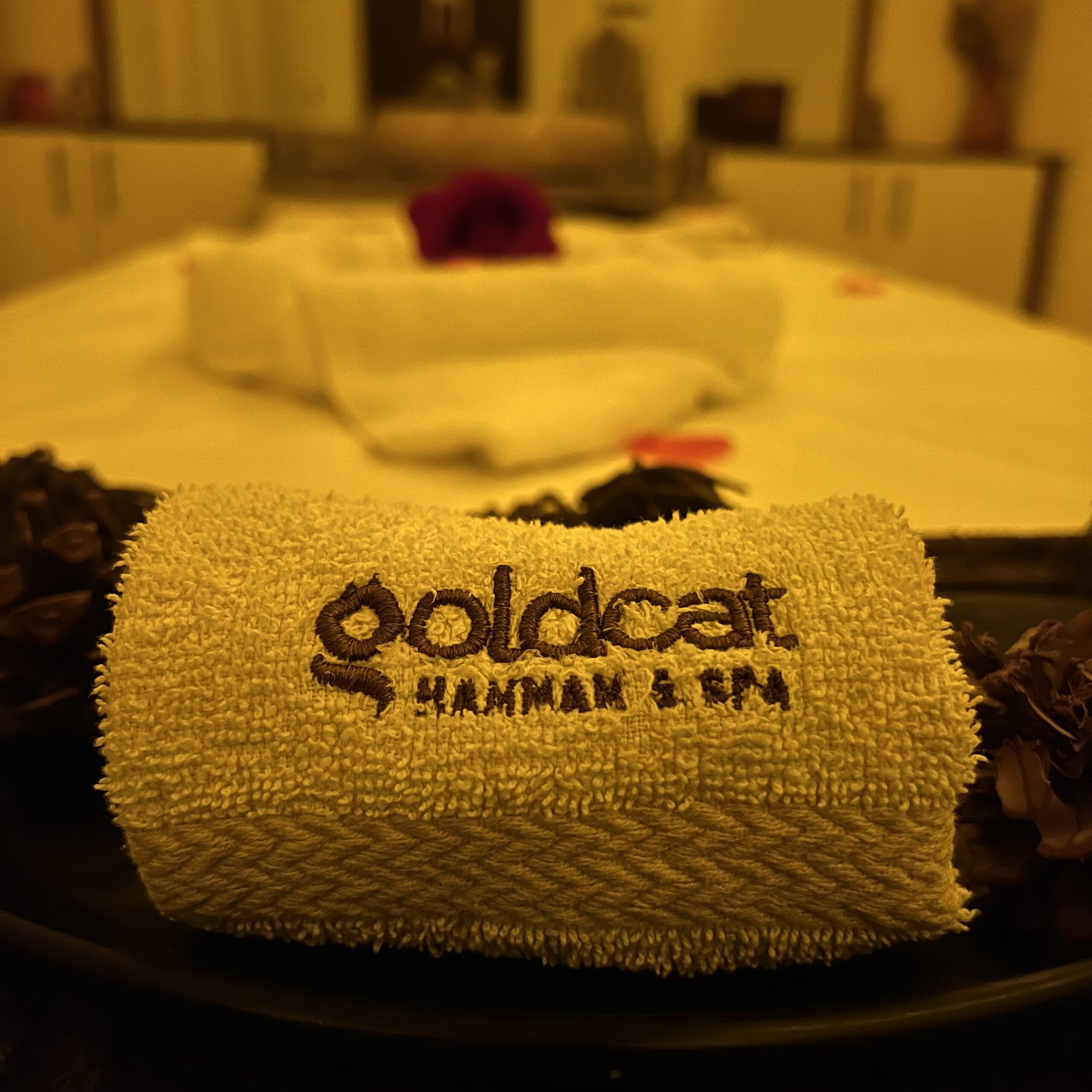 Read more about the article Inside Goldcat Spa: A Day of Self-Care in Abuja